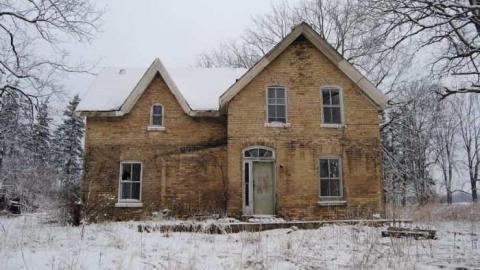 Fresh Snow - ylDSC_8333.jpg