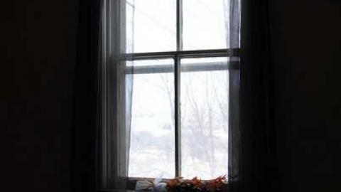 Fresh Snow - xhDSC_8352.jpg