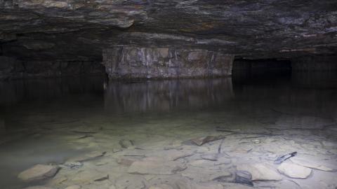 Photo from The Bat Cave - May 2018