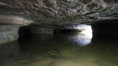 Photo from The Bat Cave - May 2018