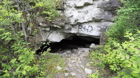 The Bat Cave - May 2018 - DSC_0127.jpg