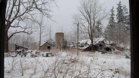 Fresh Snow - DSC_8371.jpg