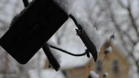 Fresh Snow - grDSC_8415.jpg