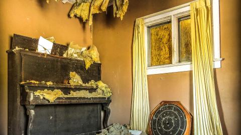 Discovery Visit (Spring 2022) - IMG_0254-3T-3.jpg