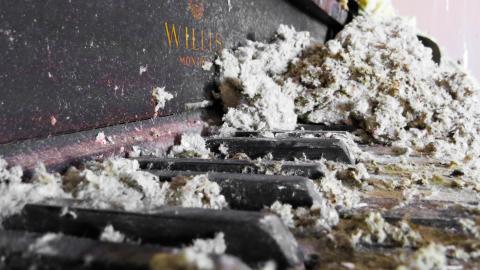 Discovery Visit (Spring 2022) - IMG_0290-2X.jpg