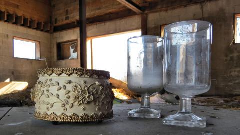 Discovery Visit (Spring 2022) - IMG_0303-SharpenAI-focusX.jpg