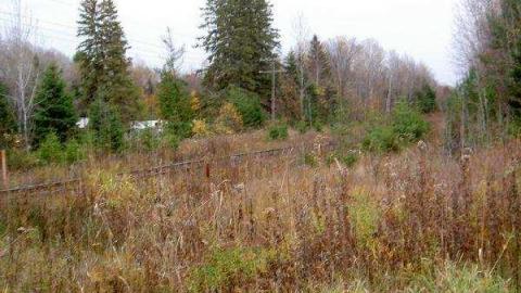 Vintage Kilworthy - Kilworthy-and-Store67.jpg