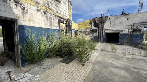 Toasty - September 2022 - DFD69350-92BA-495E-B921-64D7757D7131.jpeg