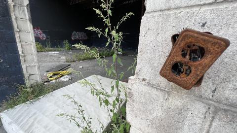 Toasty - September 2022 - 86C681FE-3E0A-4420-9EB8-43B5D63BE086.jpeg