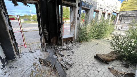 Toasty - September 2022 - B39CB448-C561-460C-890A-D687E0F545A0.jpeg