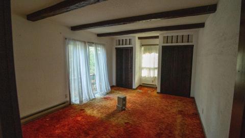 09/2022 - Dog Walker Dodging - IMG_2931.JPG