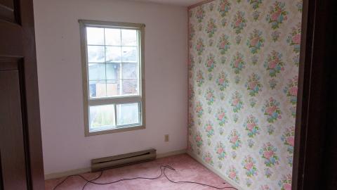 Photo from 09/2022 - Dog Walker Dodging