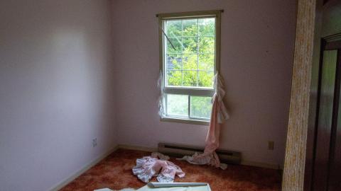 09/2022 - Dog Walker Dodging - IMG_2935.JPG