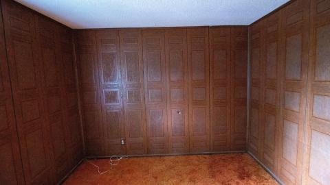 Photo from 09/2022 - Dog Walker Dodging