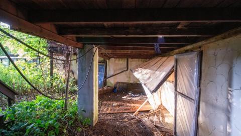 09/2022 - Dog Walker Dodging - IMG_2938.JPG