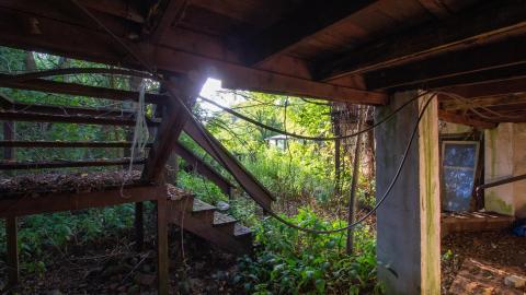 09/2022 - Dog Walker Dodging - IMG_2939.JPG