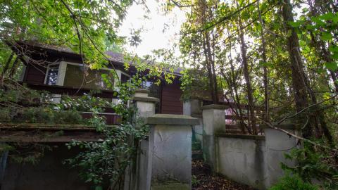 Photo from 09/2022 - Dog Walker Dodging