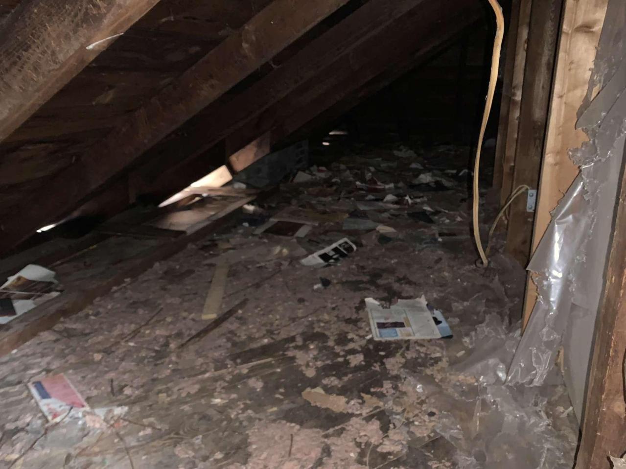 First Entry - DEXF4367.JPG