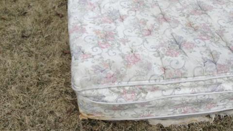 March 2017 - 3C07AB34-064D-4E3D-AA34-DE4908C69F5B.jpeg