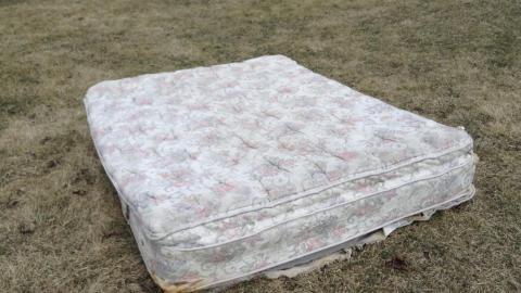 Photo from March 2017