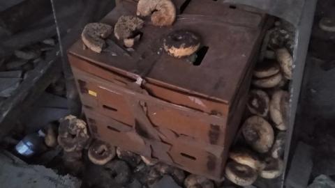 Quick visit when it was getting dark - IMG_20220811_204442431.jpg