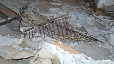 Glanbrook - Glanbrook64.jpg