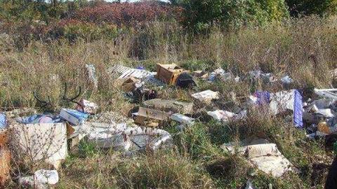 Gallery - Fast-Move-Out2.jpg