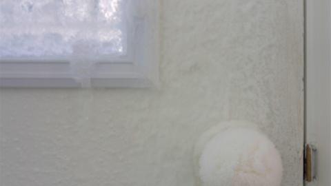 2019 - Collages3.jpg