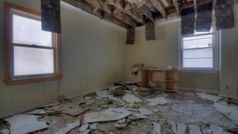 2019 - Collages12.jpg