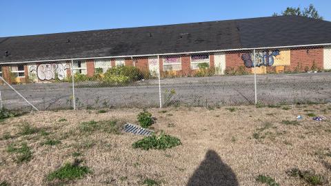 Out in the Open photo 2