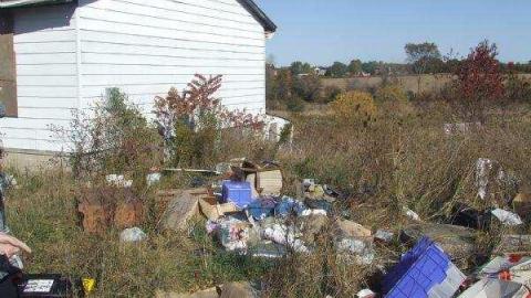 Gallery - Fast-Move-Out3.jpg