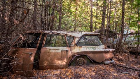 2020 - mcleans auto wreckers car graveyard  abandoned cars-28.jpg