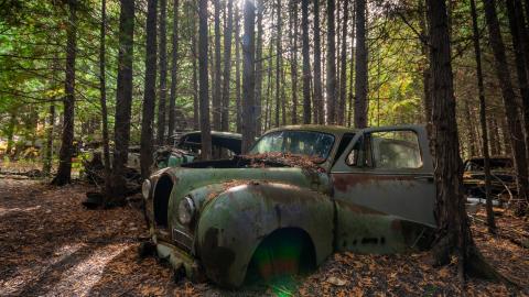 2020 - mcleans auto wreckers car graveyard  abandoned cars-31.jpg