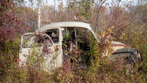 2020 - mcleans auto wreckers car graveyard  abandoned cars-37.jpg