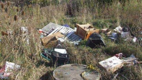 Gallery - Fast-Move-Out4.jpg