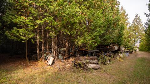 2020 - mcleans auto wreckers car graveyard  abandoned cars-43.jpg