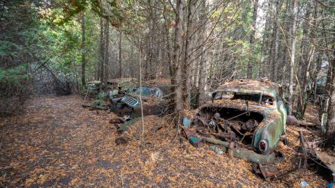 2020 - mcleans auto wreckers car graveyard  abandoned cars-44.jpg