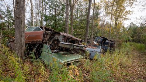 2020 - mcleans auto wreckers car graveyard  abandoned cars-48.jpg