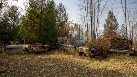 2020 - mcleans auto wreckers car graveyard  abandoned cars-54.jpg