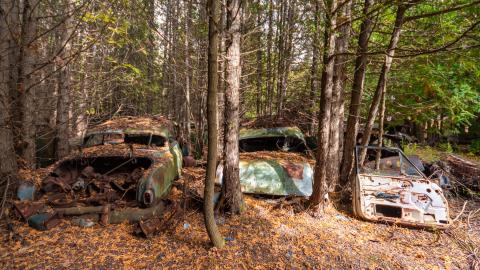 2020 - McLeans Auto Wreckers Forest Car Wrecks.jpg