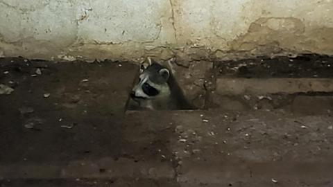 2021 - abandonedn barber paper mill photography-31.jpg