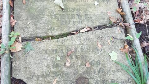 William Wilson Pioneer Cemetary - Midland, Ontario