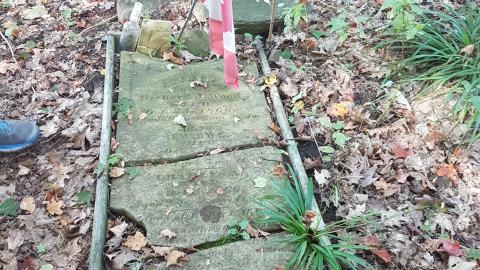 William Wilson Pioneer Cemetary photo 4