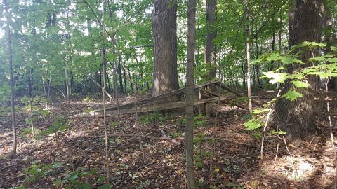 William Wilson Pioneer Cemetary photo 3