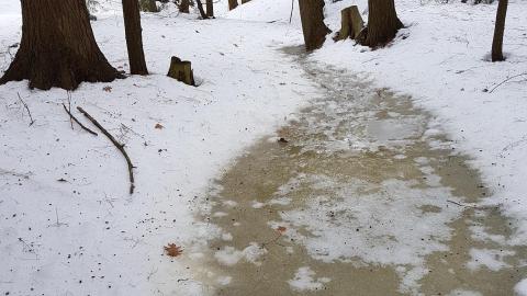 Place Near the Falls photo 2