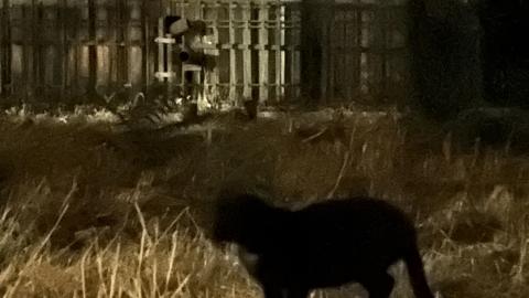 Millennium-Old Graveyard - IMG_0420.jpg