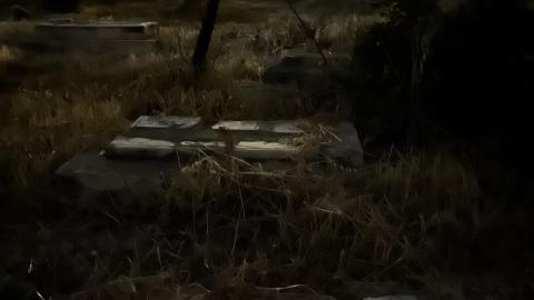 Millennium-Old Graveyard - IMG_0419.jpg