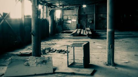 February Cold - 020.jpg