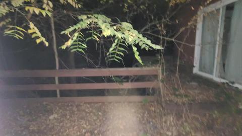 The rear exterior balcony of the House 1