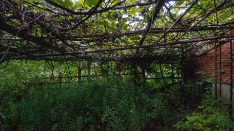 Photo from 09/12/22 - Nine Separate Properties